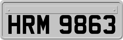 HRM9863