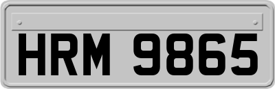 HRM9865