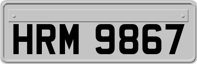 HRM9867