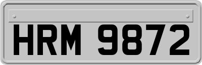 HRM9872