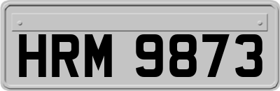 HRM9873