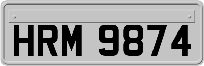 HRM9874