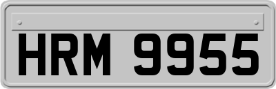 HRM9955