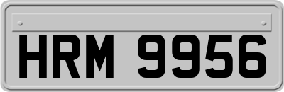 HRM9956