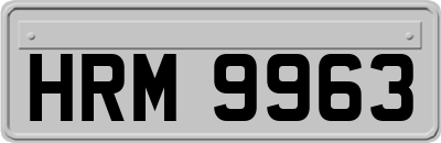 HRM9963
