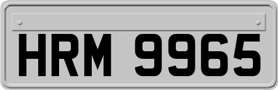 HRM9965