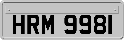 HRM9981