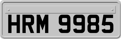 HRM9985