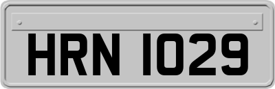 HRN1029