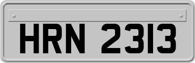 HRN2313