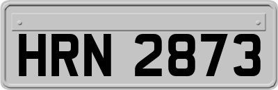 HRN2873