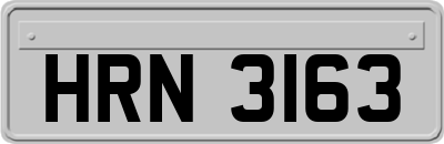 HRN3163