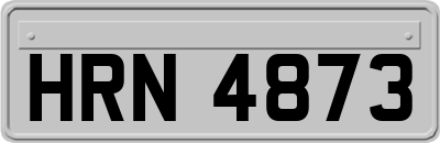 HRN4873