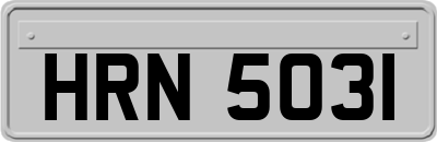 HRN5031
