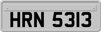 HRN5313
