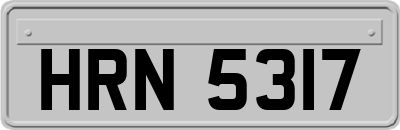 HRN5317
