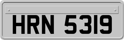 HRN5319