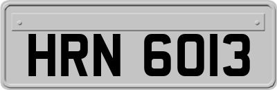 HRN6013