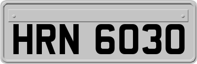 HRN6030