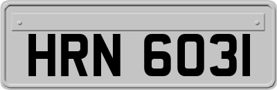 HRN6031