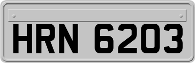 HRN6203