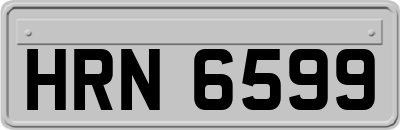 HRN6599