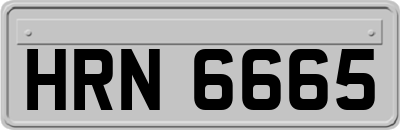 HRN6665