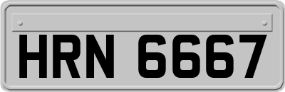HRN6667