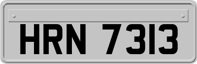 HRN7313