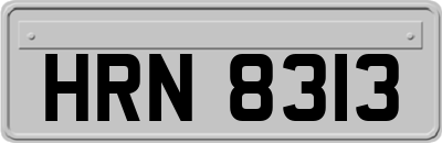 HRN8313