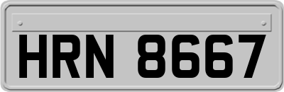 HRN8667