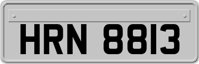HRN8813