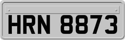 HRN8873