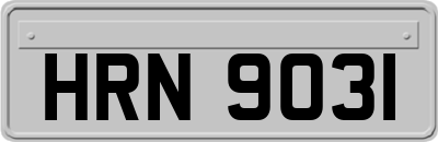 HRN9031