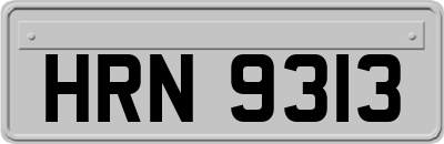 HRN9313