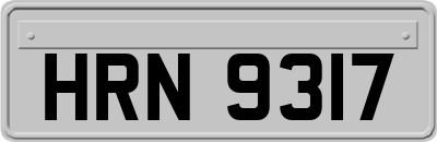 HRN9317