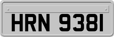 HRN9381