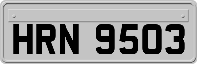 HRN9503