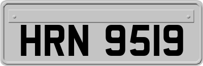 HRN9519