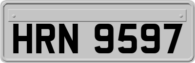HRN9597