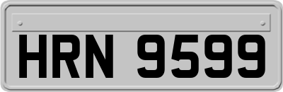 HRN9599