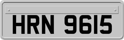 HRN9615
