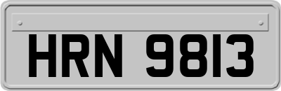 HRN9813
