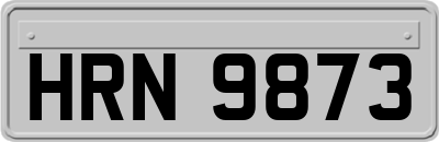 HRN9873