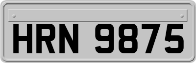 HRN9875