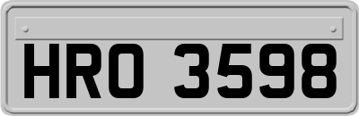 HRO3598