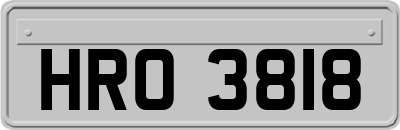 HRO3818