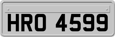 HRO4599