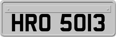 HRO5013