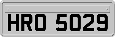 HRO5029
